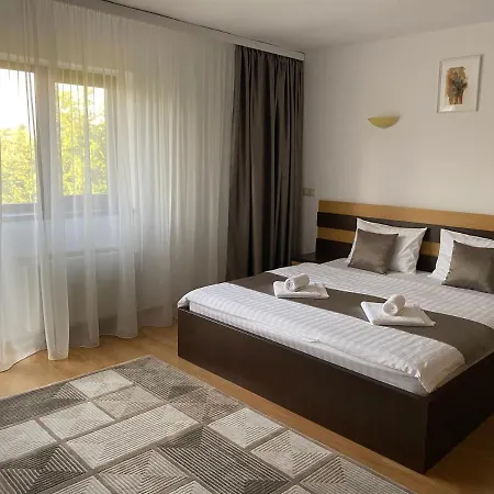 Pensiunea Andra Maison d'hôtes Timişoara
