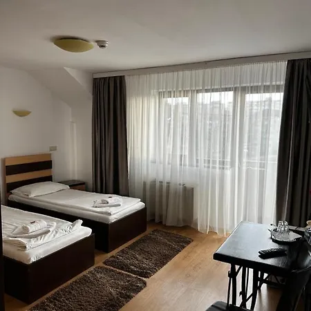 بيت ضيافة Pensiunea Andra 3*