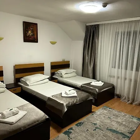 بيت ضيافة Pensiunea Andra 3*