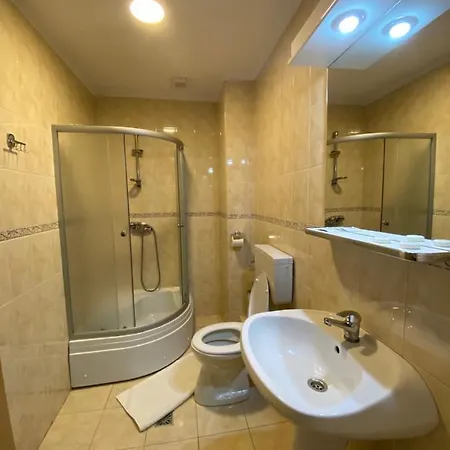 بيت ضيافة Pensiunea Andra 3*