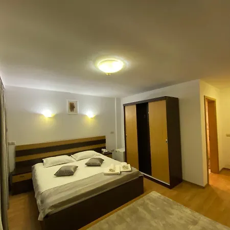 Pensiunea Andra Maison d'hôtes Timişoara
