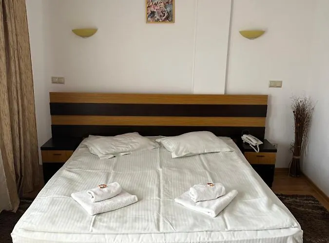 Pensiunea Andra Gasthuis 3*