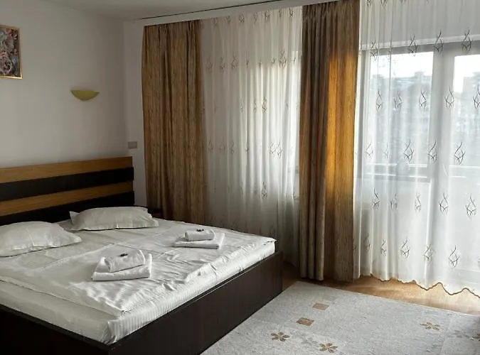 Pensiunea Andra Гостевой дом 3*