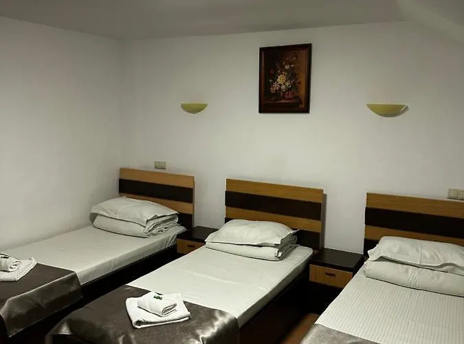 Pensiunea Andra Timişoara