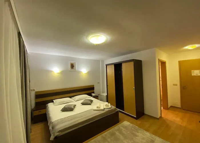 Pensiunea Andra Gasthuis Timişoara