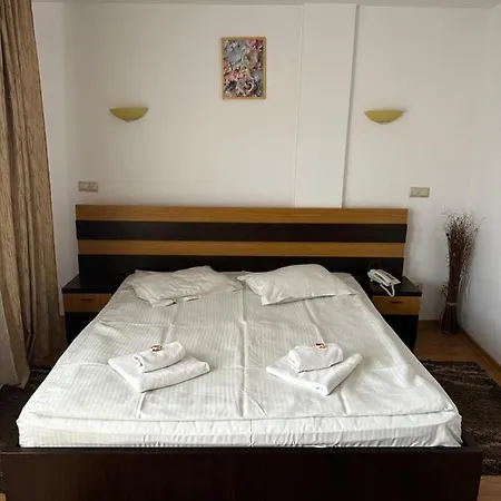 Pensiunea Andra Guest house 3*