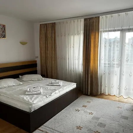 Pensiunea Andra Pensjonat 3*