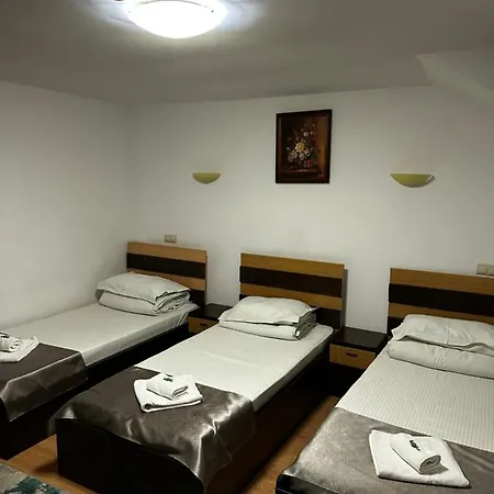 Pensiunea Andra Timisoara