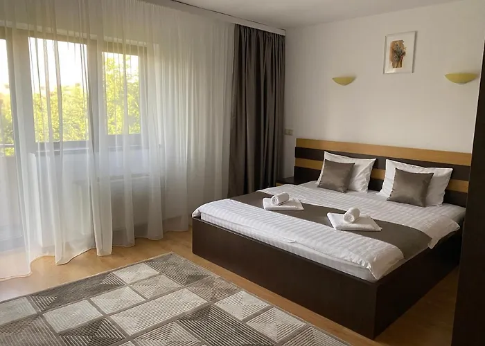 Pensiunea Andra Guest house Timisoara