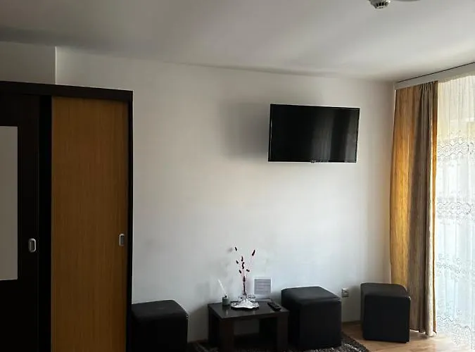 Pensiunea Andra Timisoara