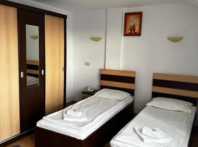 Pensiunea Andra Guest house