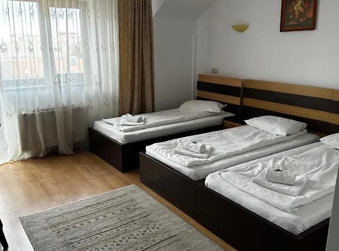 Guest house Pensiunea Andra