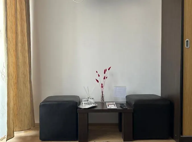 Pensiunea Andra Guest house