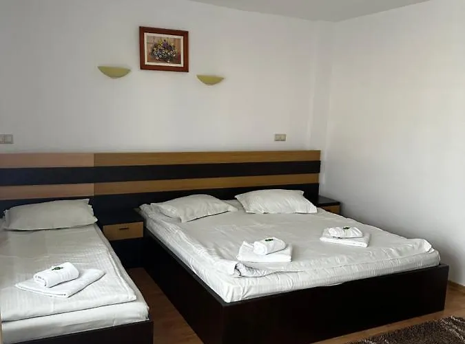 Guest house Pensiunea Andra