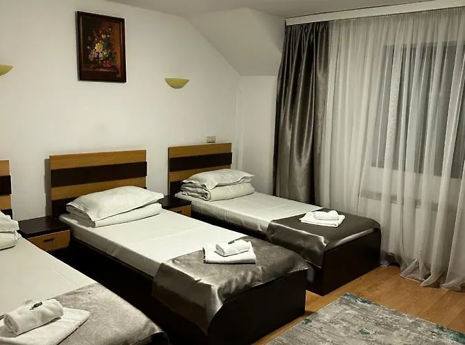 Guest house Pensiunea Andra 3*