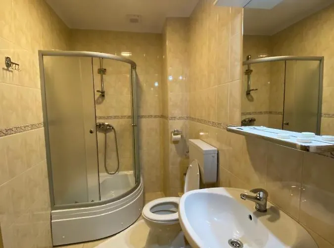 Guest house Pensiunea Andra 3*