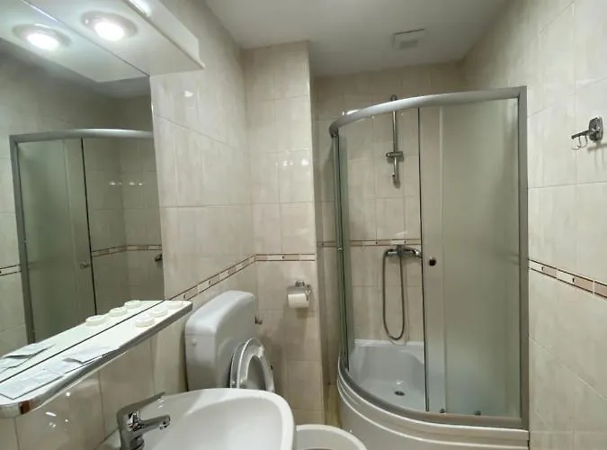 Pensiunea Andra Guest house